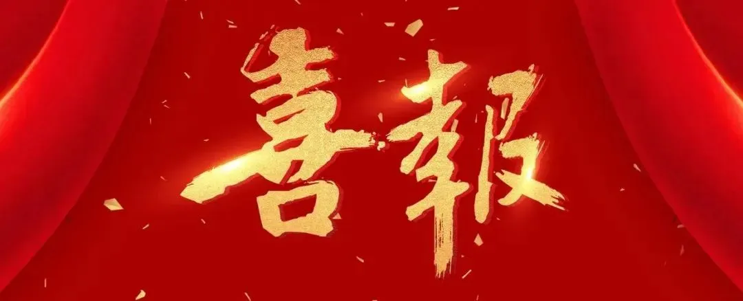 2025年度板材十大品牌-雪宝板材再揽殊荣